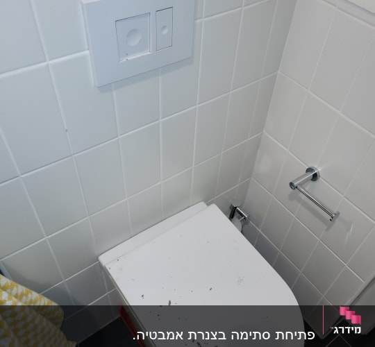 אסלה עם לכלוך על המכסה ולחצן הדחה כפול
